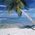 Seychelles Beach Icon 12