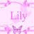 Lily Name Icon