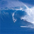 Surf Icon 24