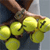 Tennis Icon 5