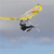 Flying Icon 3