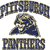 Pittsburgh Panthers 4