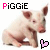 Piggie Icon