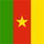 Cameroon Flag Icon 2