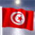 Tunis Flag Icon 2
