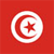 Tunis Flag Icon
