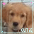 Cutie Dog Icon 3