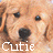 Cutie Dog Icon