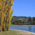 Lake Burley Griffin - Australia Icon