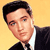 Elvis Presley Icon 28
