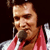 Elvis Presley Icon 44