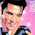 Elvis Presley Icon 18