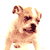 Dog Myspace Icon 15