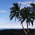 Hawaii Vacation Myspace Icon 165
