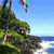 Hawaii Beach Icon 26