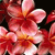 Spring Flowers Myspace Icon 15