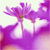 Spring Flowers Myspace Icon 10