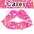 Casey 3