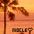 Niocle