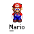 Mario 15