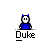 Duke buddy